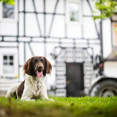 Hof Köhne - Malerhaus Ferienhaus