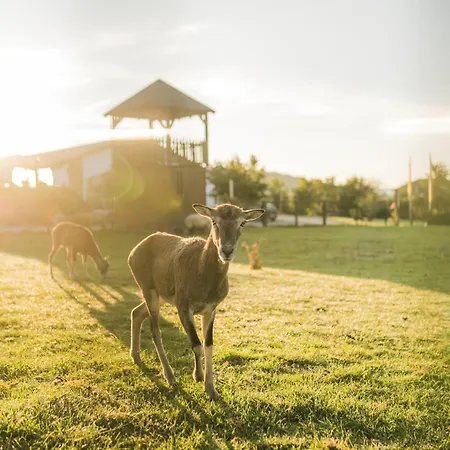 Hof Köhne - Malerhaus *