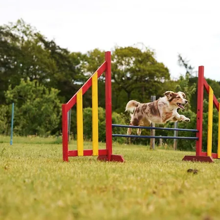 Hof Koehne - Malerhaus