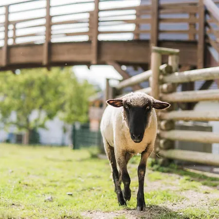 Hof Koehne - Malerhaus シュマレンベルク