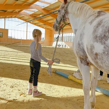 Ferienhaus Hof Köhne - Malerhaus *