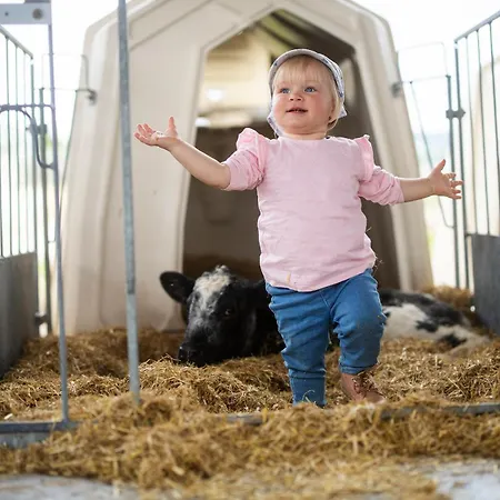 Hof Koehne - Malerhaus *