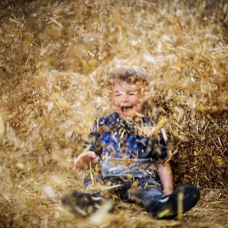 Hof Koehne - Malerhaus 別荘