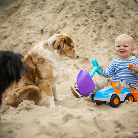 Hof Koehne - Malerhaus 別荘