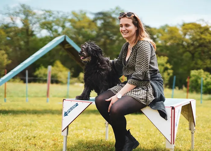 Σπίτι διακοπών Hof Koehne - Malerhaus Schmallenberg