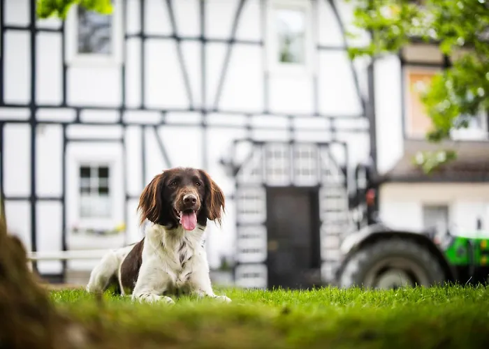 Hof Koehne - Malerhaus Σπίτι διακοπών