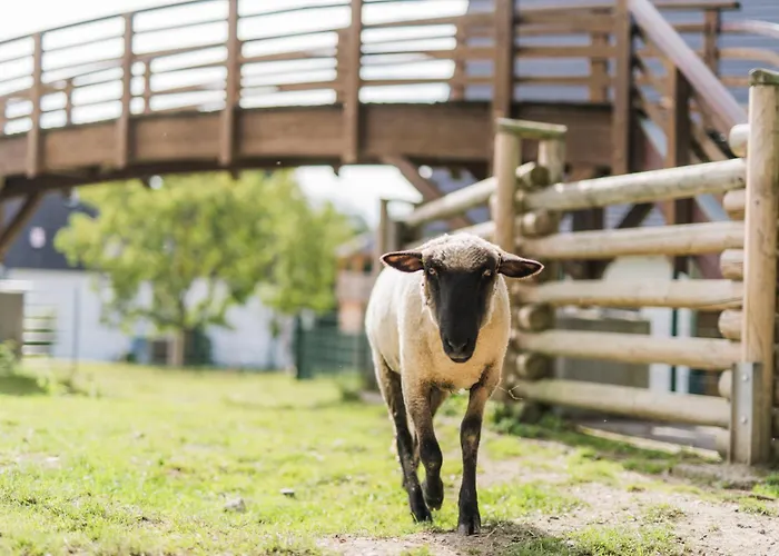Hof Koehne - Malerhaus Schmallenberg