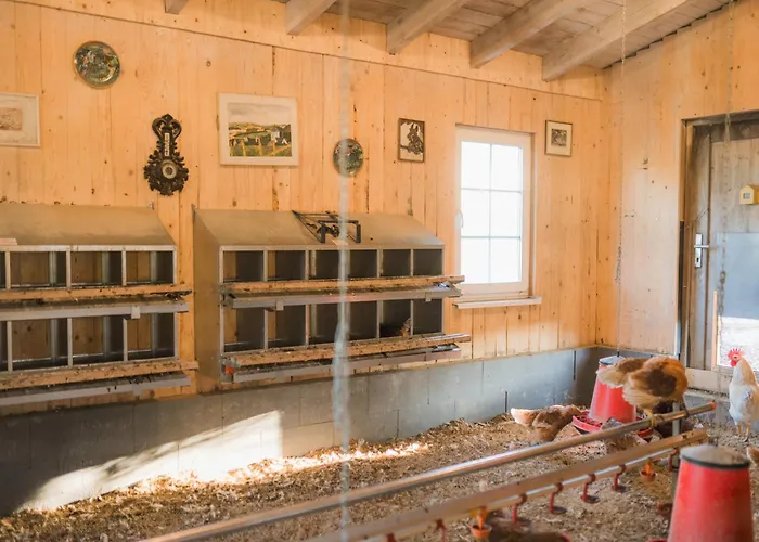 Hof Koehne - Malerhaus * Schmallenberg